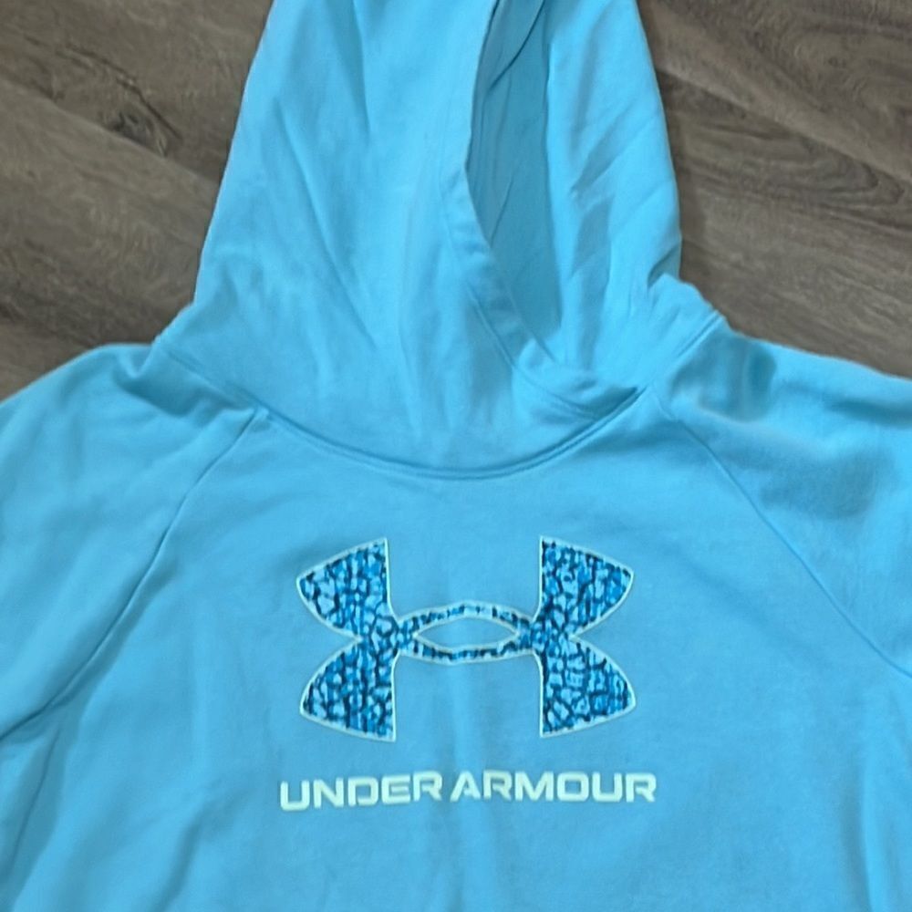 Lot of 2 Girls UNDER ARMOUR and Champion  Hoodie Sweatshirts Both Size Large - Picture 3 of 13